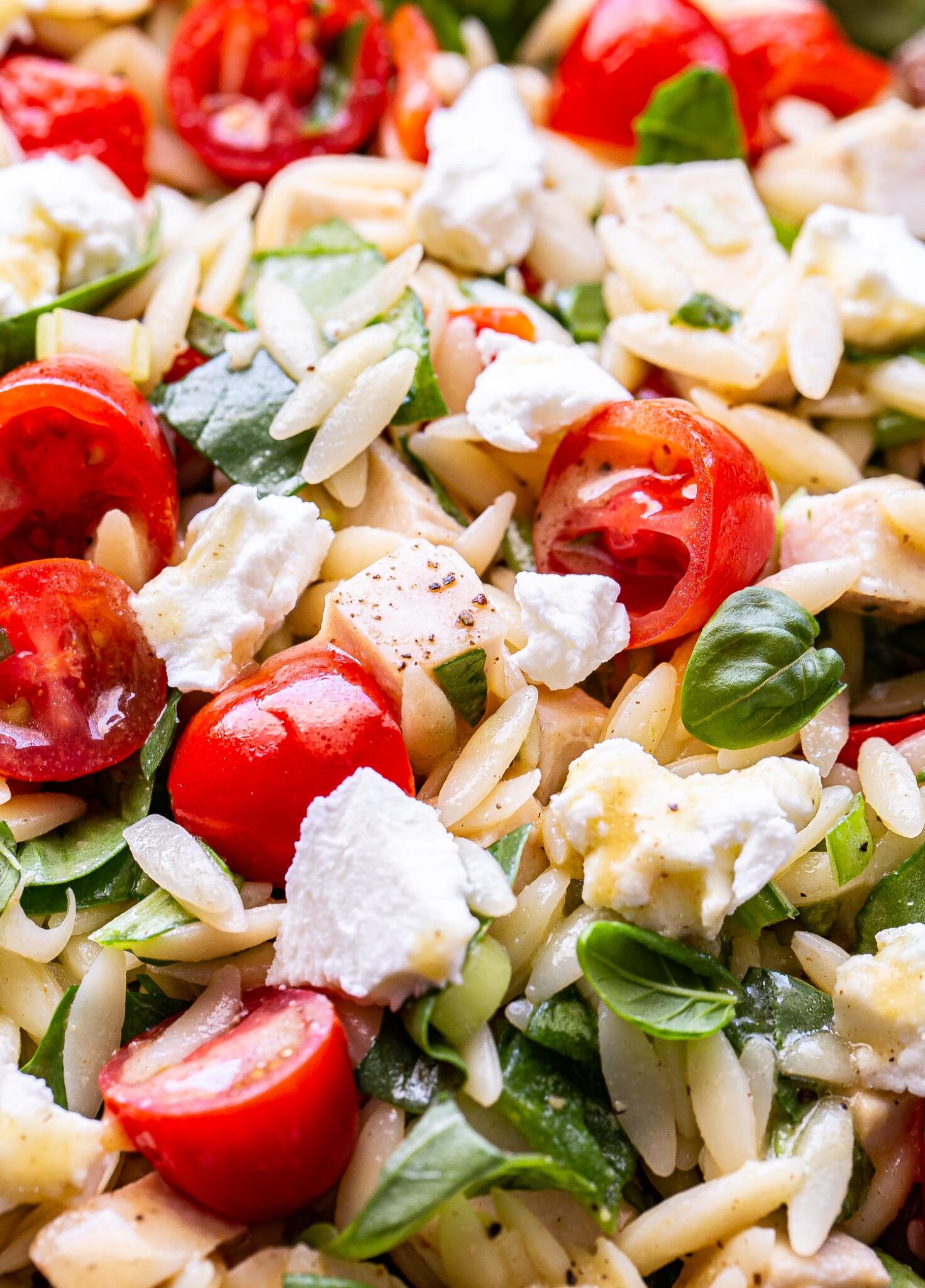 Spinach Orzo Chicken Salad with Goat Cheese Recipe Runner