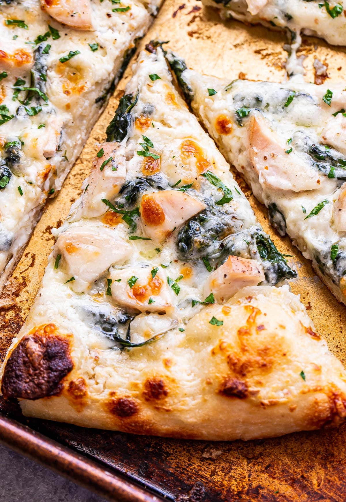 chicken-alfredo-pizza-