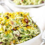 Cranberry Orange Brussels Sprout Slaw | I can't get enough of this sweet tangy winter slaw! | www.reciperunner.com