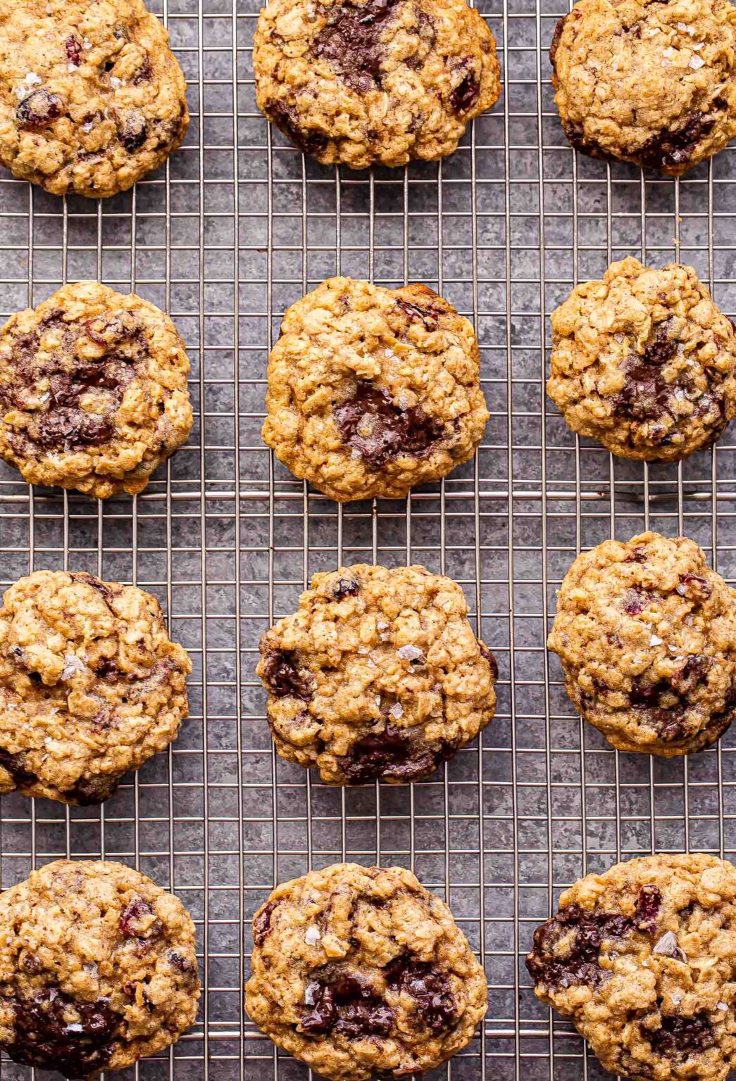 Oatmeal Dark Chocolate Cranberry Cookies Recipe Runner