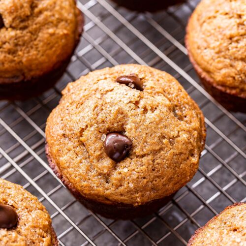 Gingerbread Chocolate Chip Muffins Recipe Runner