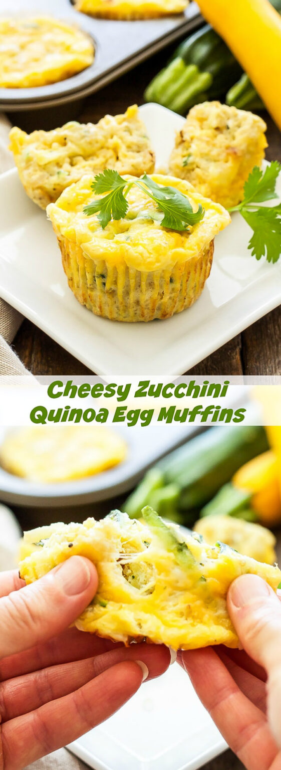 Cheesy Zucchini Quinoa Egg Muffins Recipe Runner