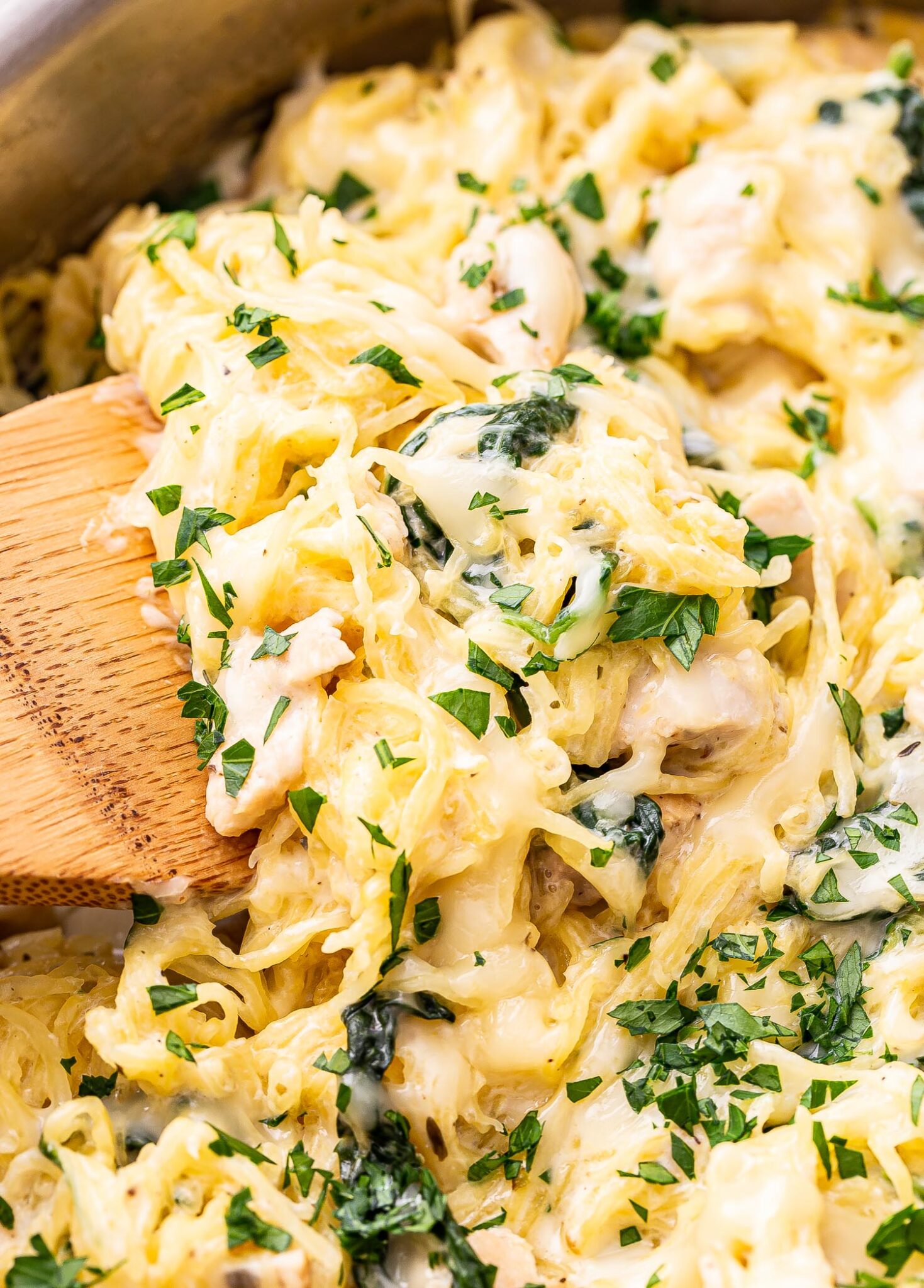 Chicken and Spinach Spaghetti Squash Alfredo Recipe Runner