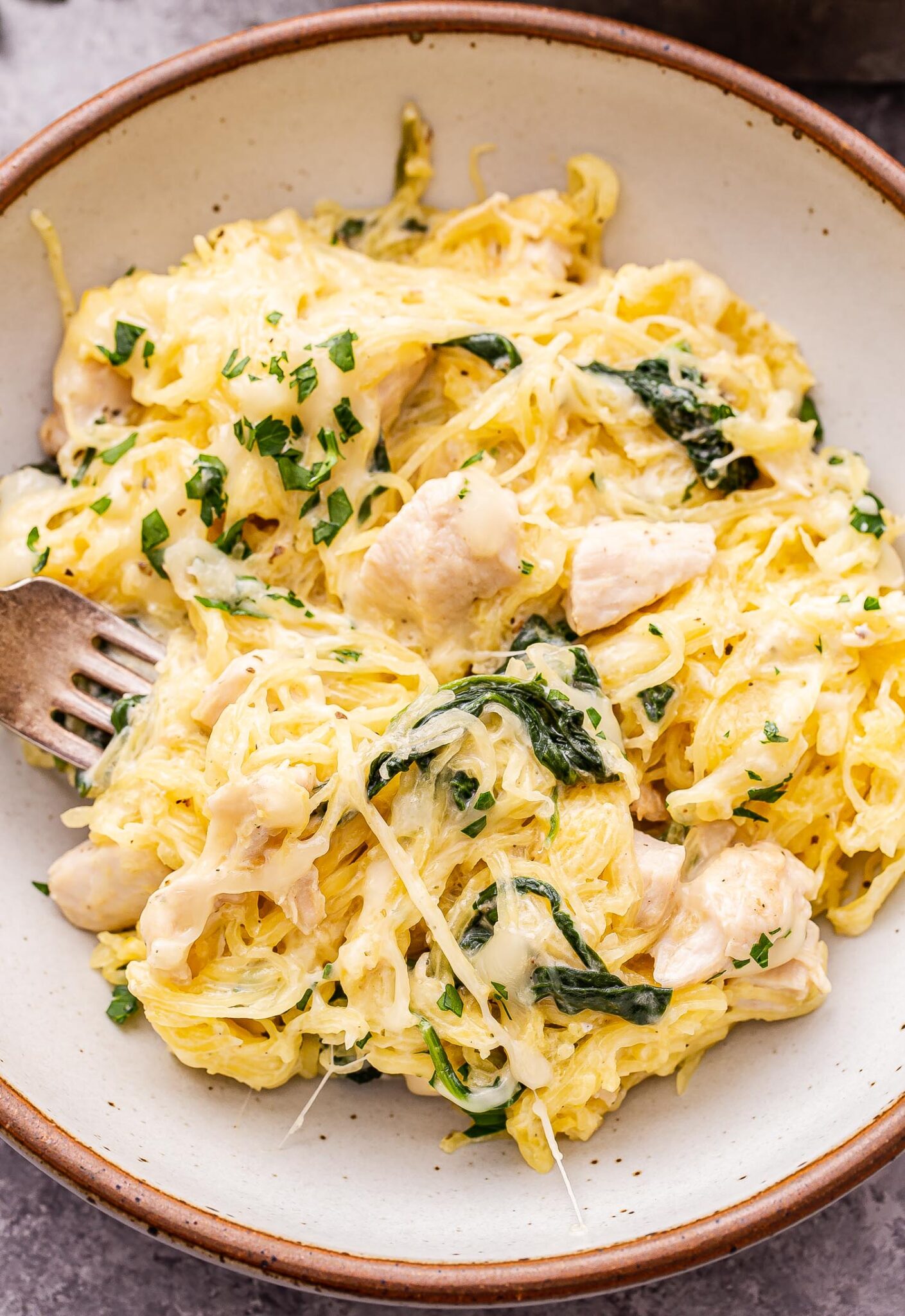 Chicken and Spinach Spaghetti Squash Alfredo Recipe Runner
