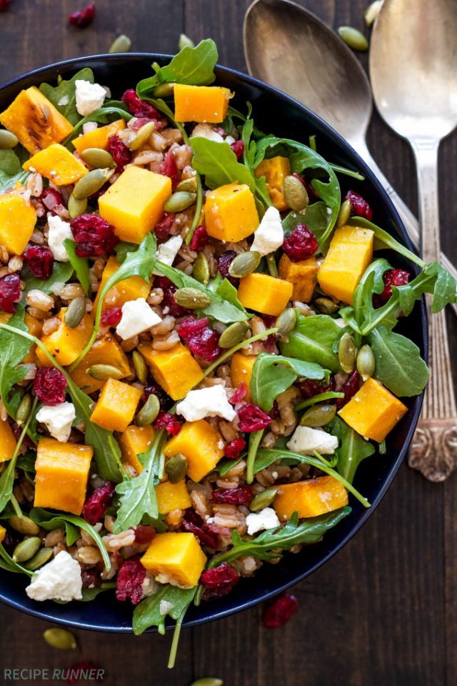 Butternut Squash Farro Salad with Arugula and Cranberries Recipe Runner