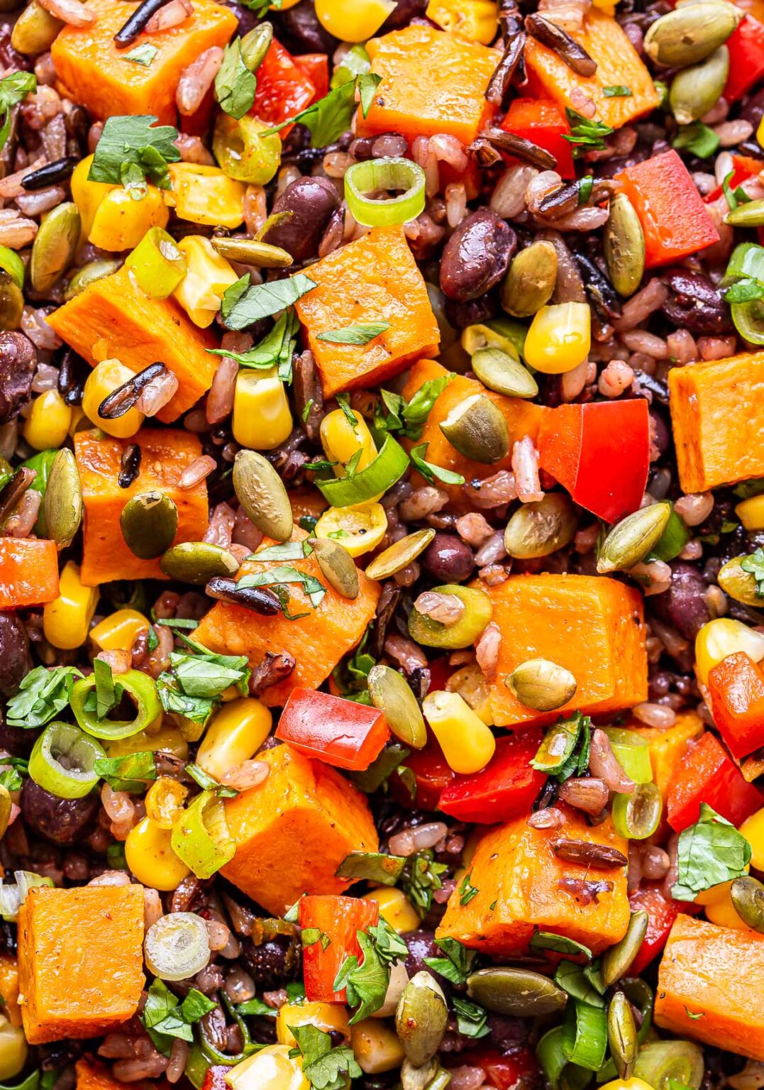 Southwest Sweet Potato, Black Bean, Wild Rice Salad Recipe Runner