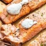 Closeup photo of baked salmon fillets topped with lemon dill yogurt sauce.
