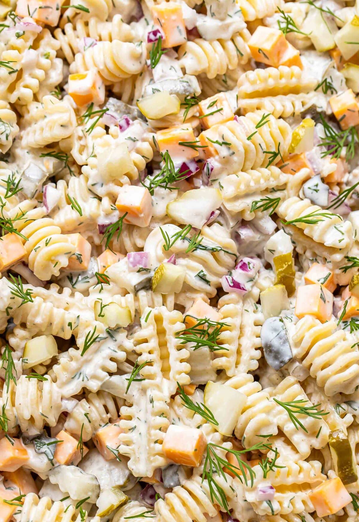 Dill pickle pasta salad with cubes of cheddar cheese in it.