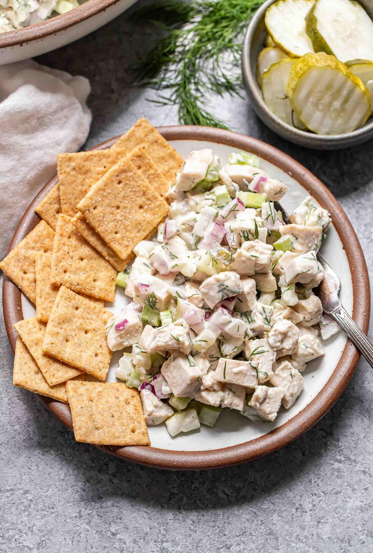 Dill pickle chicken salad on a plate with crackers.