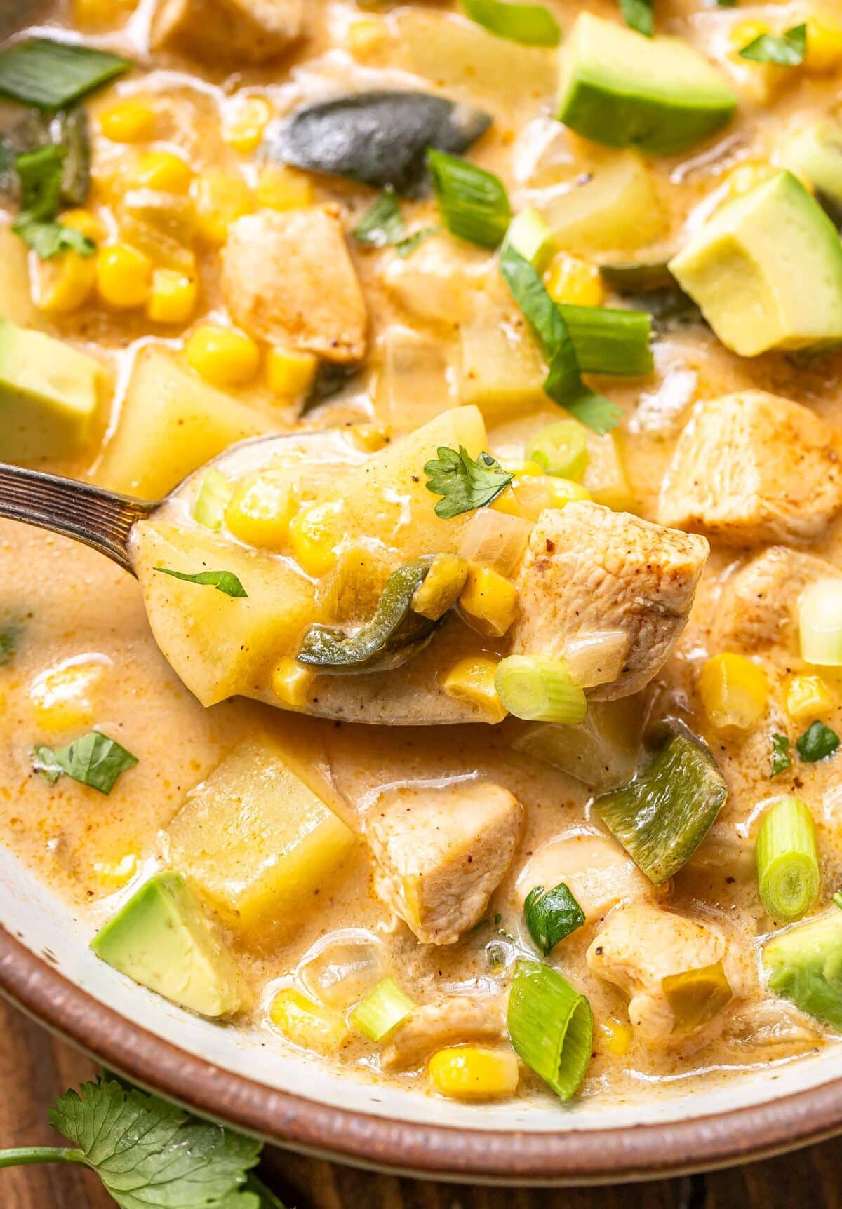 Spoon scooping up chicken corn chowder out of a white bowl.