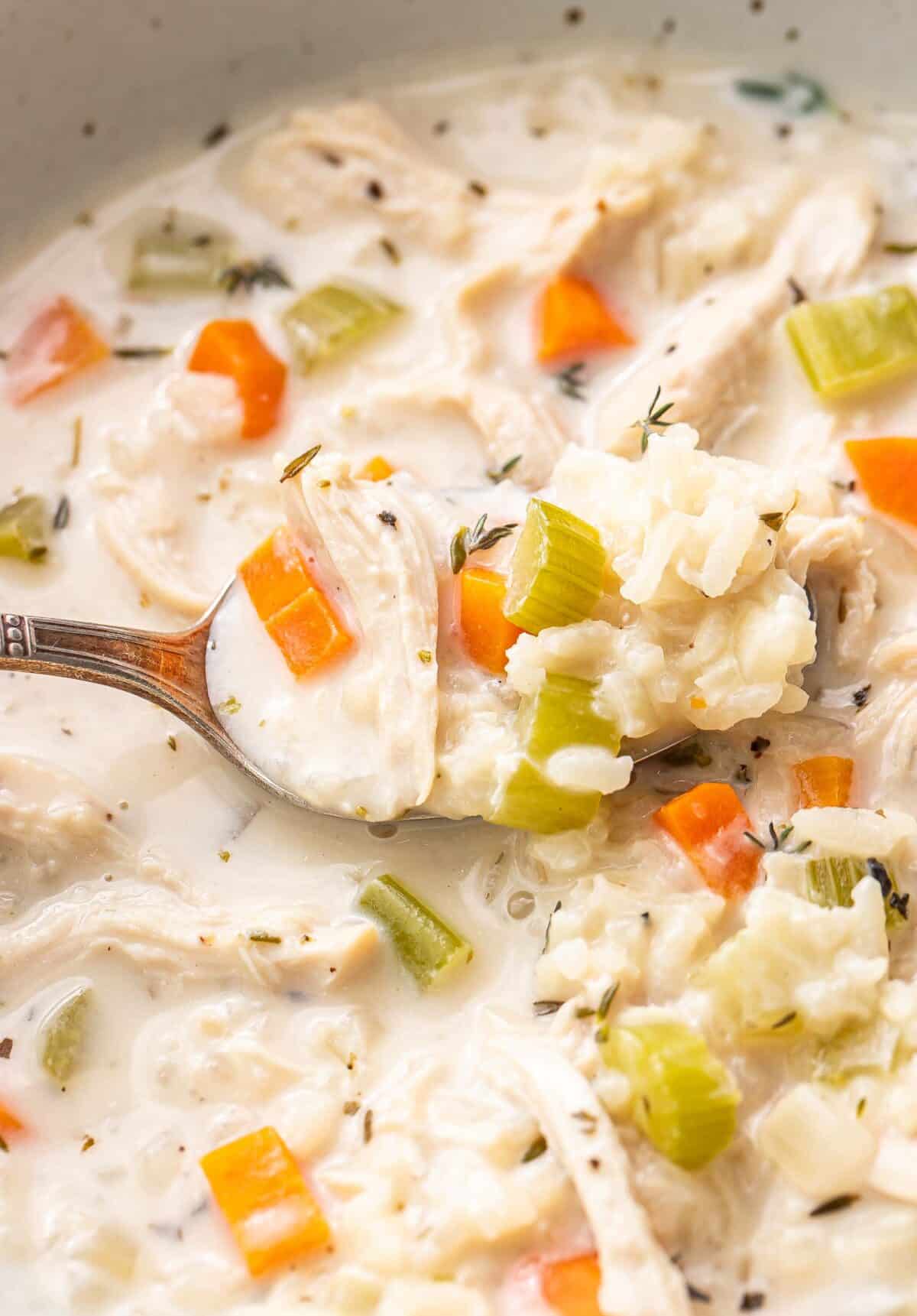 Creamy chicken and rice soup in a bowl with a spoon holding up a spoonful of it.