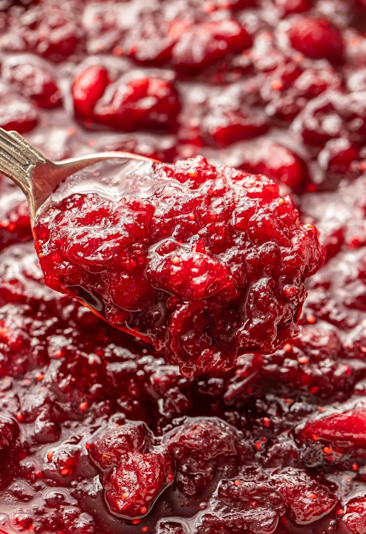 A spoon holding a scoop of cranberry sauce.