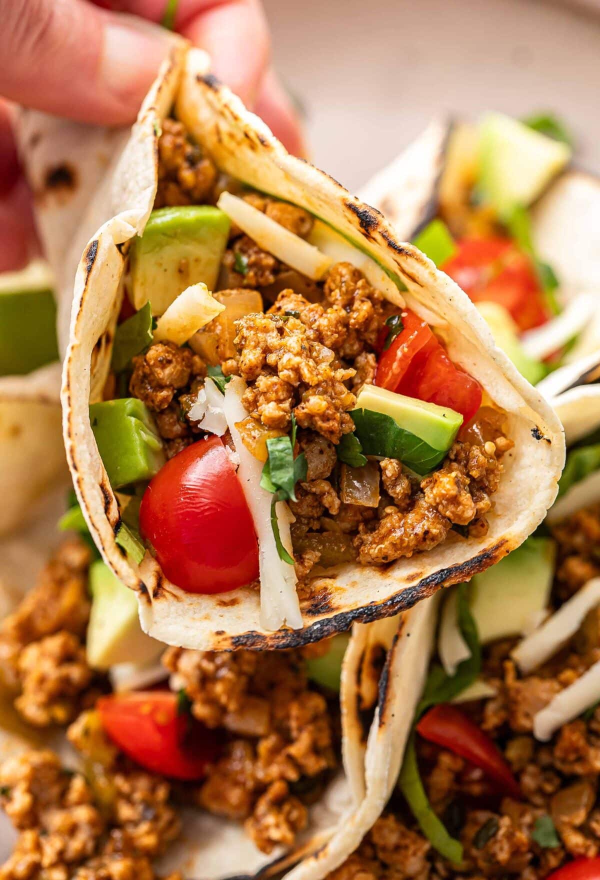 Hand holding a turkey taco.