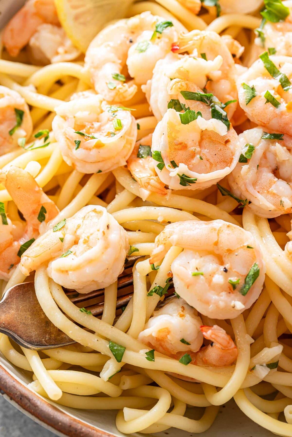 Shrimp scampi on top of bucatini in a white bowl.