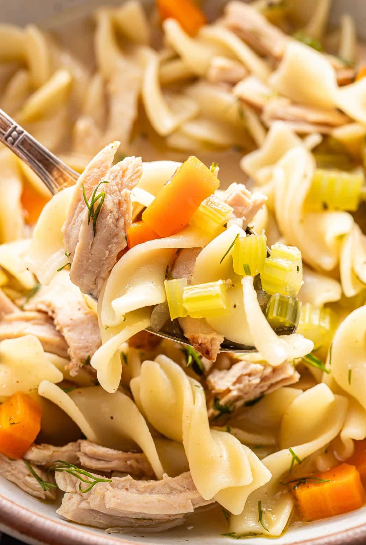 A spoon holding up turkey noodle soup.
