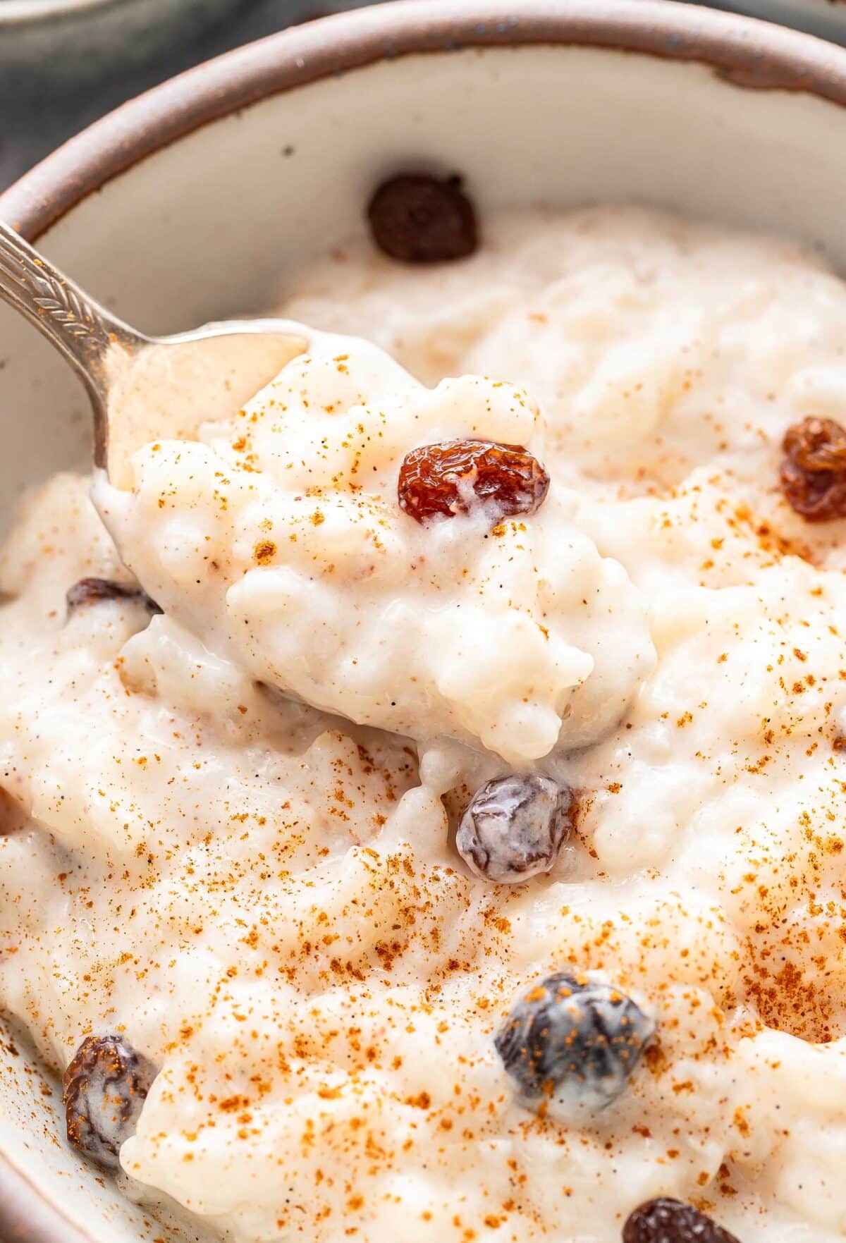 A spoon holding a scoop of rice pudding with raisins.