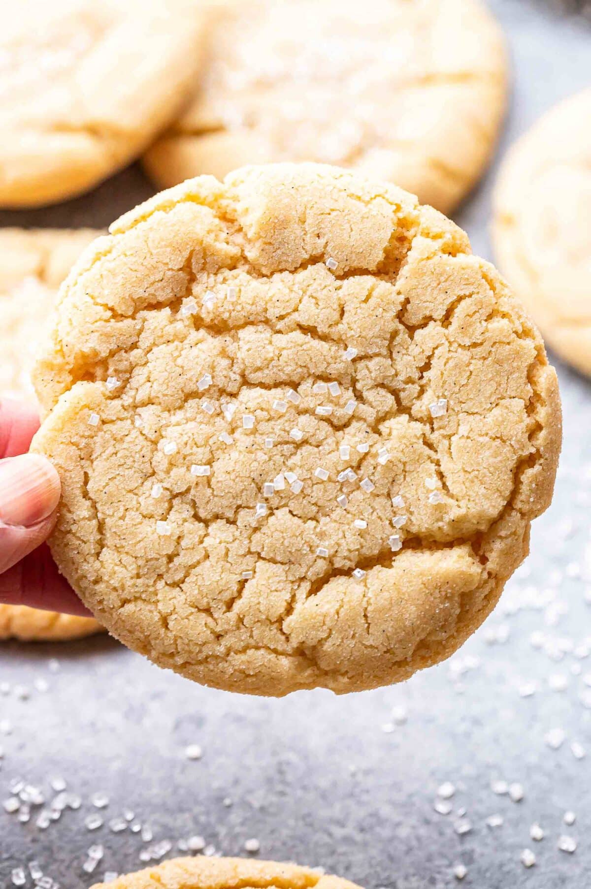 Hand holding a sugar cookie.