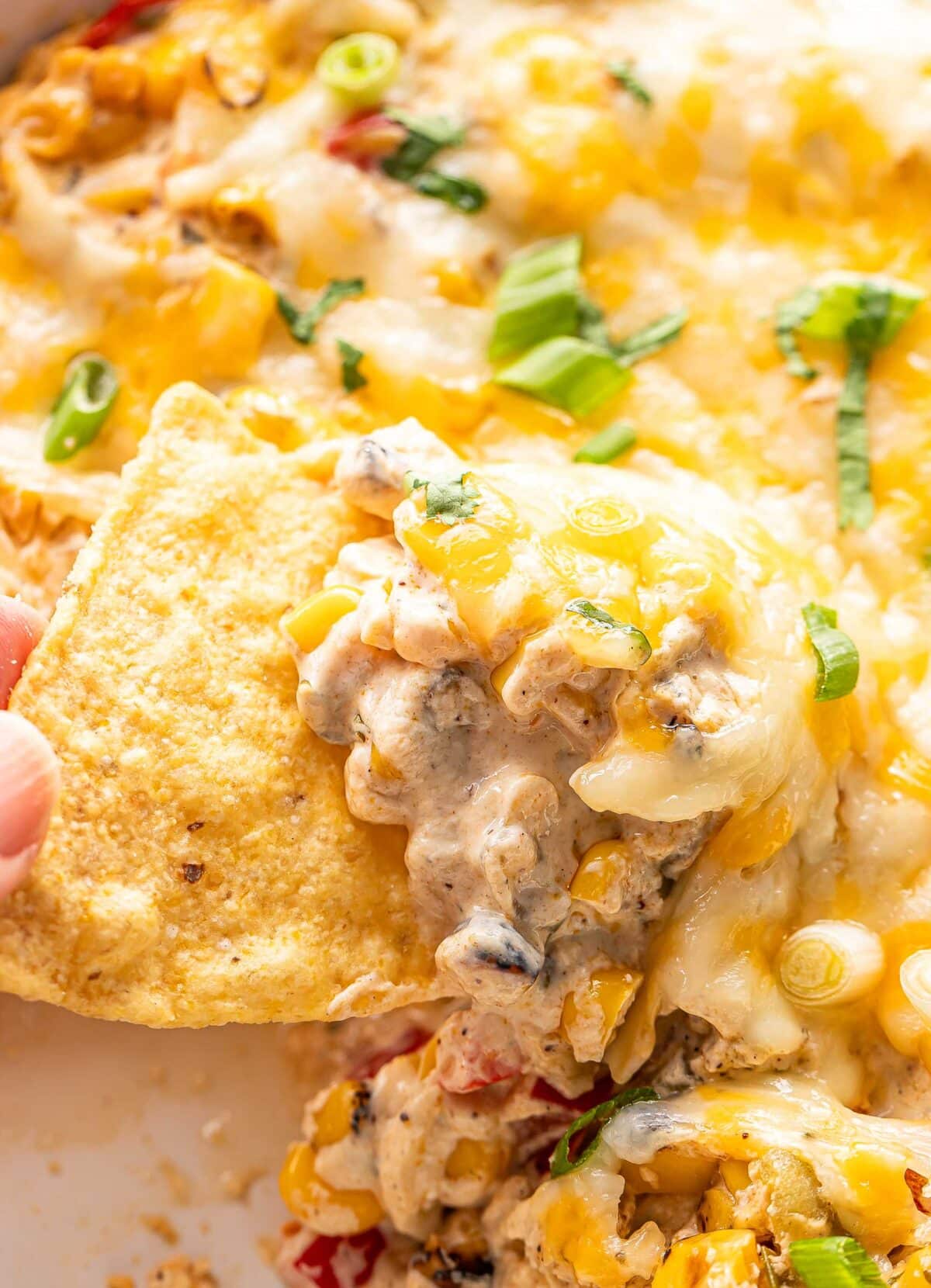 Chip scooping up cheesy hot corn dip.