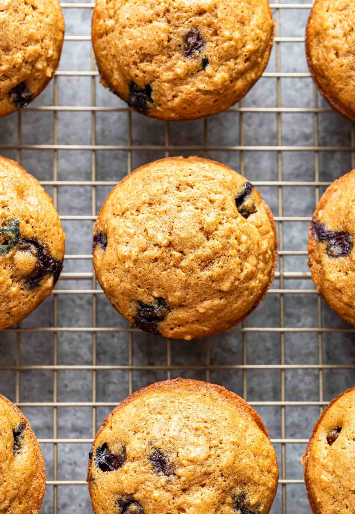 Blueberry oatmeal muffins on a wire cooling rack.