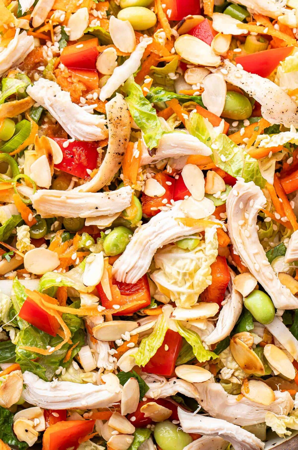 Chinese chicken salad with cabbage, red bell peppers, carrots, edamame, and green onions.