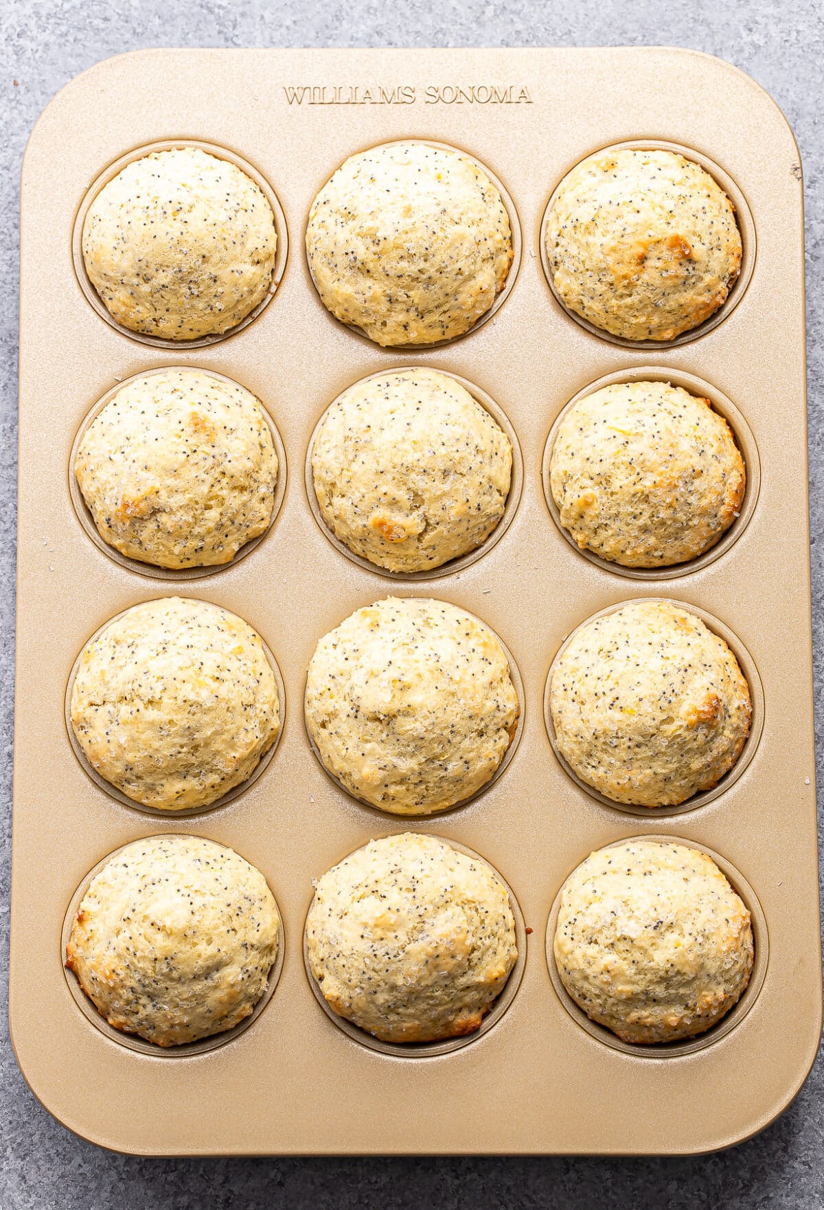 Baked lemon poppy seed muffins in a muffin pan.