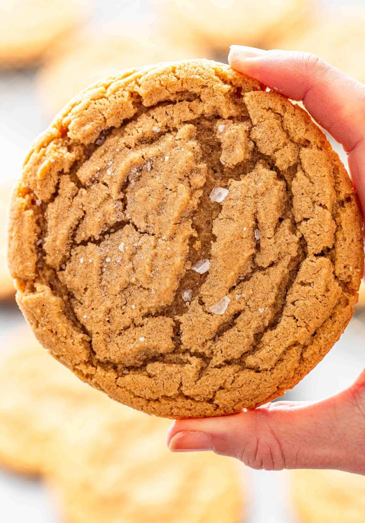 Hand holding a peanut butter cookie.
