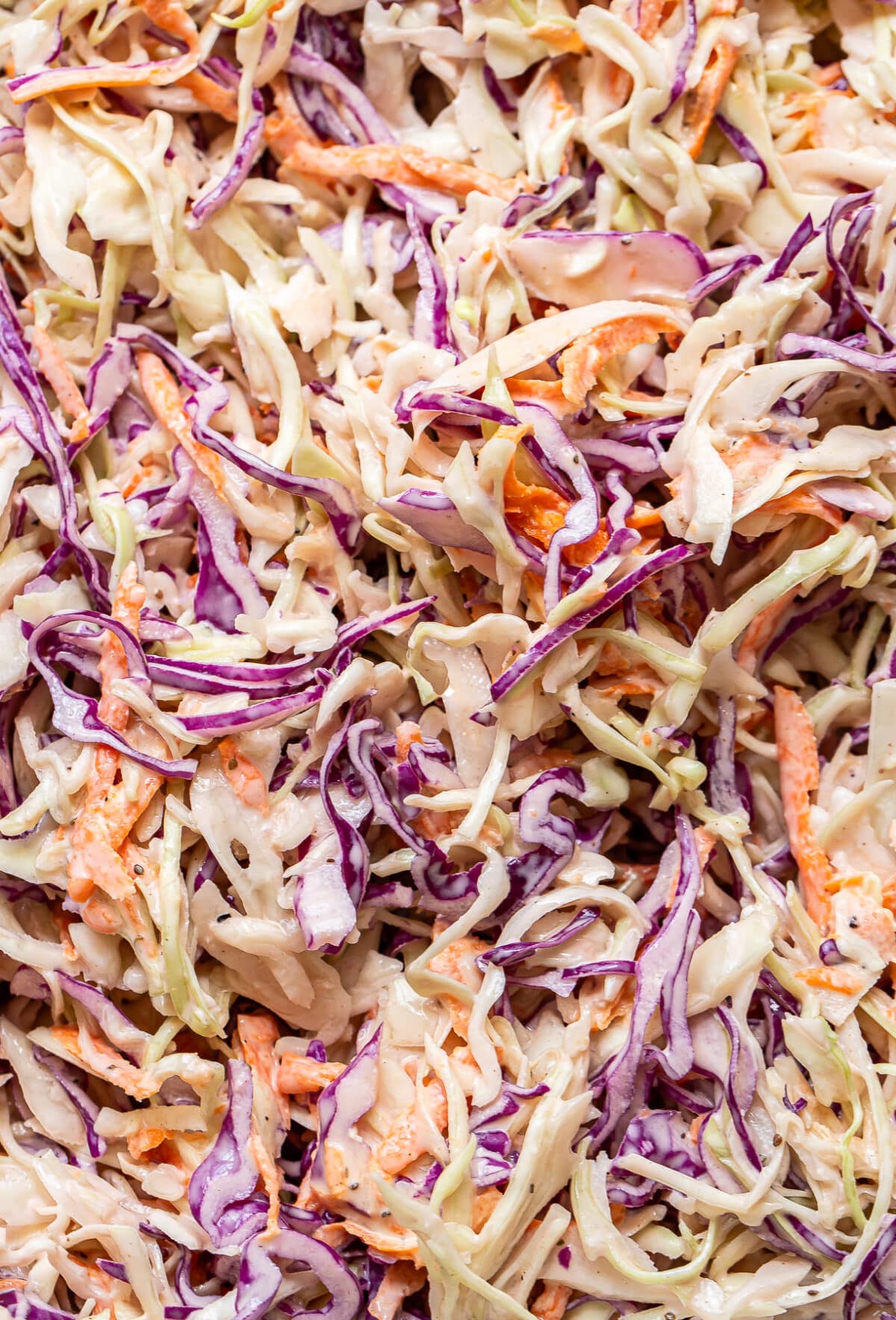 Close-up of creamy coleslaw, featuring shredded green and purple cabbage with vibrant orange carrots mixed together for a fresh, classic coleslaw dish.