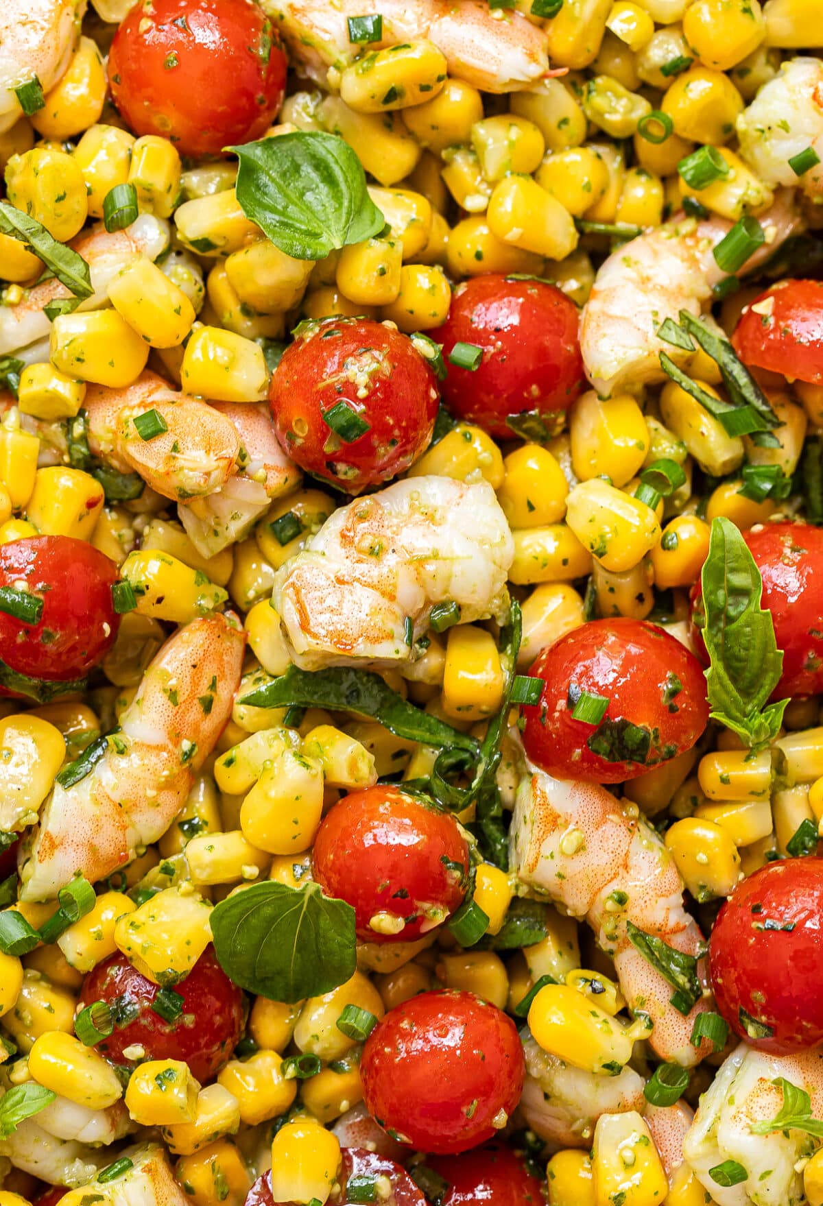Close-up of a vibrant Tomato Corn Shrimp Salad featuring juicy shrimp, sweet corn, cherry tomatoes, chopped herbs, and fresh basil leaves, all mixed with a light dressing.