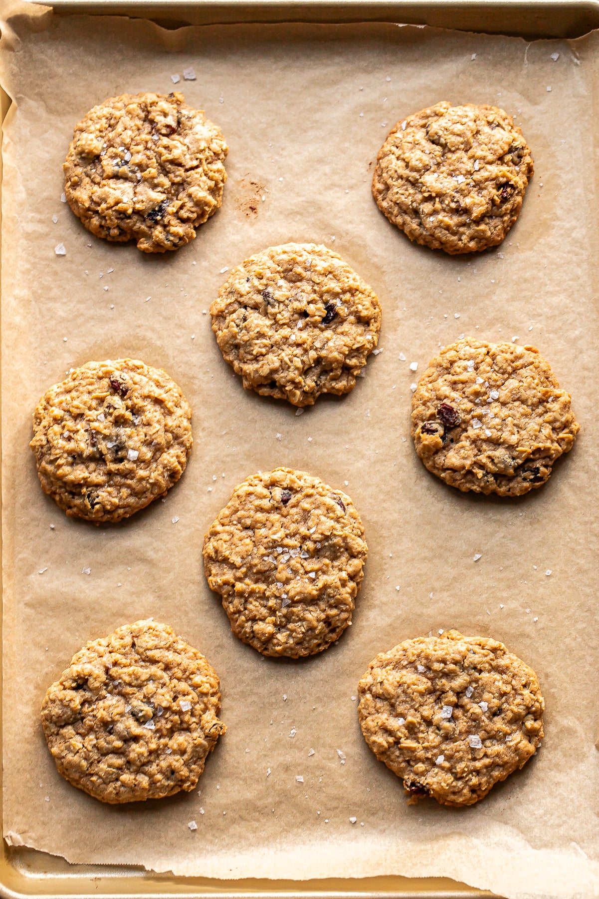 Nine oatmeal cookies with visible oats and sprinkled sea salt arranged on a parchment-lined baking sheet.