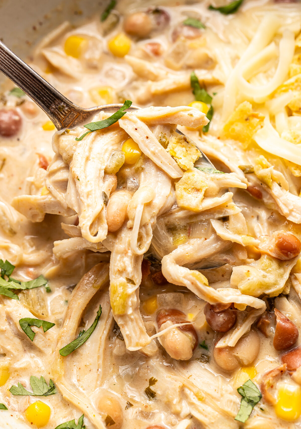 A metal spoon lifts a serving of creamy white chicken chili filled with shredded chicken, beans, and corn from the pot.